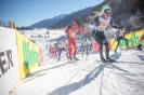43.Dolomitenlauf in Obertilliach_30