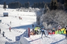 43.Dolomitenlauf in Obertilliach_34