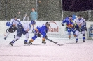 Eishockey-UEC Leisach gegen EHC Oberdrauburg (14.1.2017)