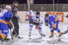 Eishockey-UEC Leisach gegen EHC Oberdrauburg (14.1.2017)_7