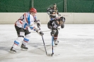 Eishockey ICE Tigers gegen Sillian Bulls in Nussdorf/Debant (3.1.2017)_4