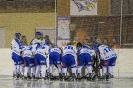 Eishockey UEC Leisach gegen UEC Lienz (30.12.2017)