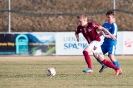 Fussball-Matrei gegen Ludmannsdorf (25.3.2017)_4