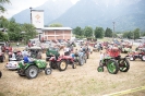 Oldtimer Rally Dölsach (4.6.2017)_18