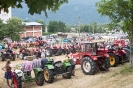 Oldtimer Rally Dölsach (4.6.2017)_3