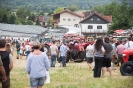 Oldtimer Rally Dölsach (4.6.2017)_5