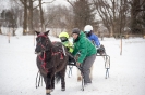 Pferderennen in Matrei (8.1.2017)