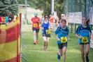 Römerlauf Dölsach (24.6.2017)_77