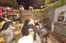 Tischziachn in Nussdorf/Debant Mairjoslhof Toiflgruppe Debant (25.11.2017)_41