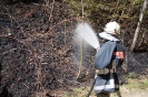 Waldbrand Leisach (9.4.2017)