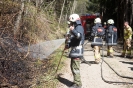 Waldbrand Leisach (9.4.2017)