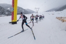 Dolomitenlauf FT 42/20km in Obertilliach  FIS WORLDLOPPET CUP (21.1.2018)