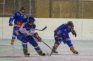 Eishockey Leisach gegen Virgen (5.1.2018)_8