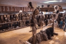 Larvenausstellung St.Jabob in Defereggen (18.11.2018)