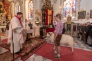 Prozession mit Widder zur Wallfahrtskirche Lavant (15.4.2018)