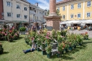 Rosen in der Oberen Altstadt Lienz (23.6.2018)_2