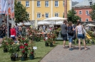Rosen in der Oberen Altstadt Lienz (23.6.2018)_3