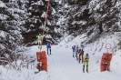 Dolomitenlauf Obertilliach (19.1.2019)_21