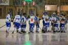 Eishockey Leisach gegen Lienz (8.2.2019)