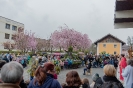 Palmsegnung Festmesse Hl.Familie (14,4,2019)_6