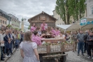 Umzug und Genussfest Lienz Hauptplatz (19,5,2019)