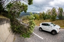 Baum auf strasse Grafenbachstrasse (22,8,2020)