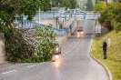 Baum auf strasse Grafenbachstrasse (22,8,2020)_4