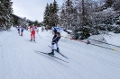 Dolomitenlauf Obertilliach Freestyle Race (18,1,2020)_26