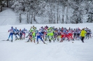 Dolomitenlauf Obertilliach Freestyle Race (18,1,2020)_3