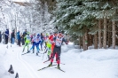 Dolomitenlauf Obertilliach Freestyle Race (18,1,2020)