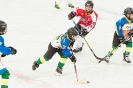 Eishockey U12 UEC Sparkasse Lienz U12 gegen SGSpittal/Irschen/Oberdrauburg U12 (11,1,2020)_5