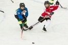 Eishockey U12 UEC Sparkasse Lienz U12 gegen SGSpittal/Irschen/Oberdrauburg U12 (11,1,2020)